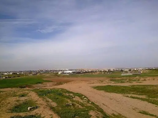 سلطة الأراضي في غزة تعلن استئناف العمل رسمياً في جميع دوائرها